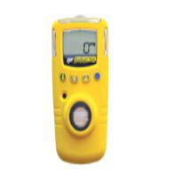 加拿大BW GAXT-H硫化氫檢測儀