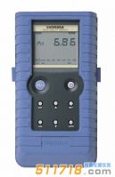 日本Horiba W-20系列多參數水質監測儀