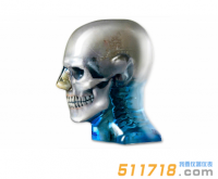 美國CIRS 711-HN頭部模體