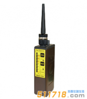 日本理研SP-210L便攜式可燃?xì)怏w檢測(cè)儀