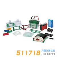 美國伯樂Bio-Rad 1658033垂直電泳轉印系統(tǒng)套裝