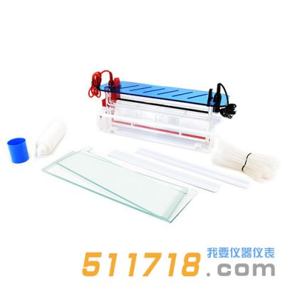 北京六一 DYCZ-20H型高通量垂直電泳儀