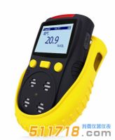 HY-1200H-O2便攜式氧氣檢測(cè)儀