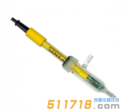 DJS-0.1-F玻璃電導電極