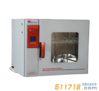 BPX-162程控電熱恒溫培養箱