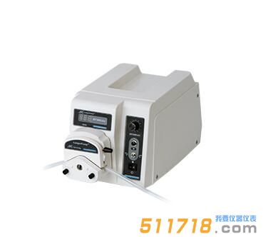 BT300-2J蠕動(dòng)泵