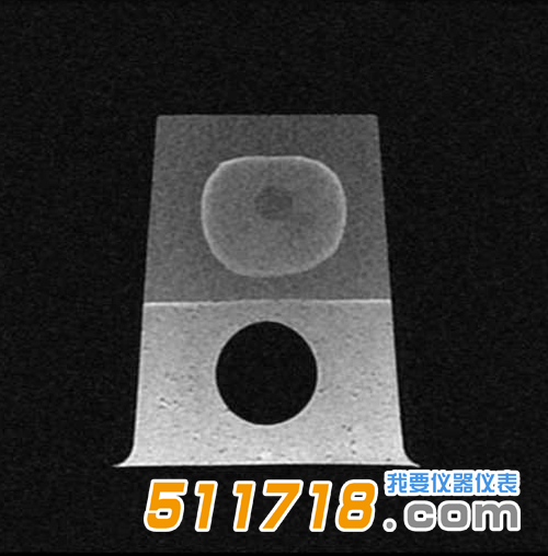 美國CIRS 053S 053L 053L-EF前列腺MRI測試體模5.png