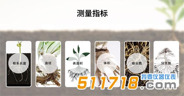 GXY-A植物根系分析儀技術參數;  1、整體參數：  (1)根尖數：總根尖數量，等于終止連接點的數量  范圍：0-1,000  精度：誤差<5%  (2)根系長度：總的根系長度，包括主根和各級次根  范圍：0-10,000 mm  精度：誤差<3.65%  (3)平均直徑：根系的平均直徑  范圍：0-20 mm  精度：誤差<0.04%  (4)投影面積：根系整體的投影面積  范圍：0-200,000 mm2  精度：誤差<4.02%  (5)表面積：整體的表面積  范圍：0-1,000,000 mm2  精度：誤差<3.75%  (6)體積：整體體積  范圍：0-2,000,000,000 mm3  精度：誤差<3.82%  2、拓撲分析參數(需要相對完整根系)：  (1)數量：各級根的數量總和  范圍：0-1,00  (2)連接數：各級側根上的連接數總和  范圍：0-100  (3)長度：各級側根的長度總和  范圍：0-10,000 mm  (4)直徑：各級側根的平均直徑  范圍：0-20 mm  (5)表面積：各級側根的表面積總和  范圍：0-1,000,000 mm2  (6)體積：各級側根的體積總和  范圍：0-2,000,000,000 mm3  (7)投影面積：各級側根的投影面積總和  范圍：0-200,000 mm2。  .jpg