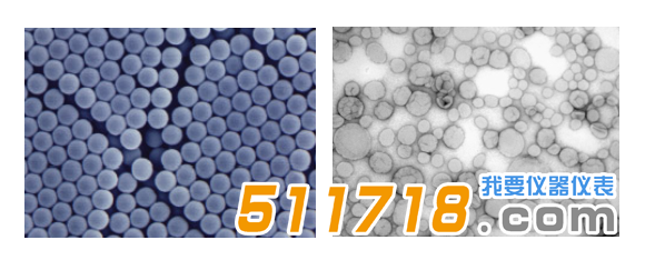 歐美克 NS-90納米粒度分析儀.png